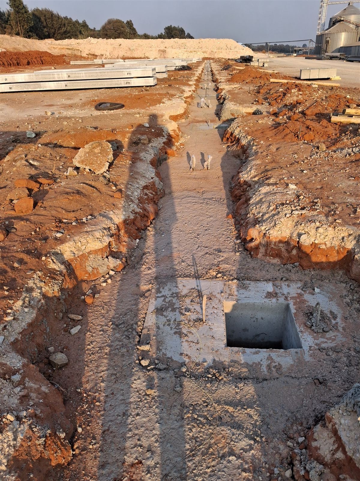 Majesty Oil Mills Image 5